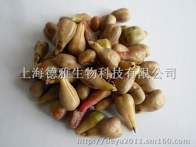 地龙蛋白片代加工上海德雅生物科技有限公司代加工
