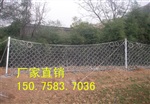RXI-100型被动防护网厂家