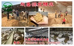 发酵床技术适合用来养猪吗
