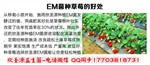 疏松土壤用的EM菌怎么卖的
