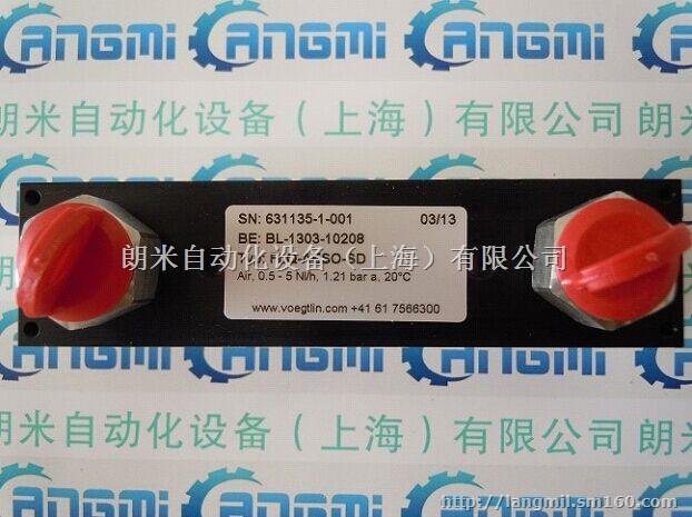 FLQ-AESO-SD瑞士VOGTLIN流量计