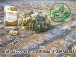 菜籽饼发酵有机肥用什么牌子发酵剂