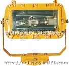 深圳华荣防爆灯ODBE6071.820