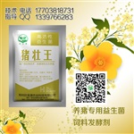 怎么发酵玉米秸秆来喂猪喜欢吃