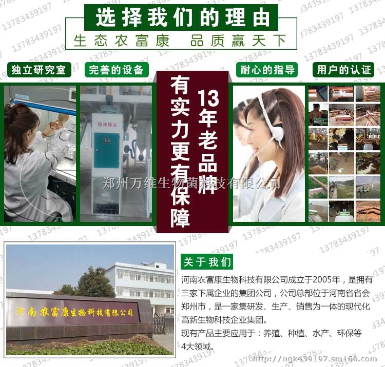 青贮玉米秸秆用的秸秆青储剂厂家销售热线