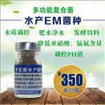 养虾蟹塘水发浑净水专用em菌种