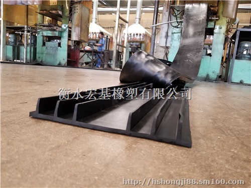 320×8背贴式止水带320×8背贴式止水带厂家