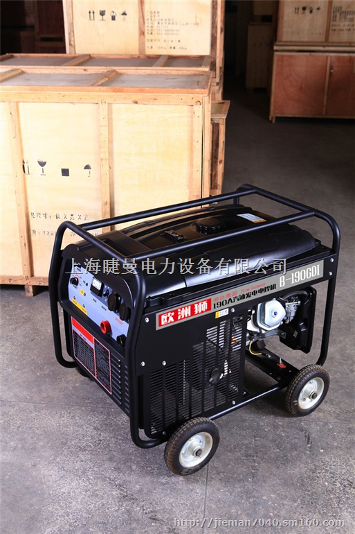 中频永磁190A发电电焊一体机