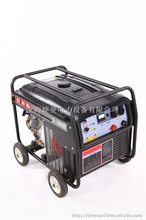 便携式300A发电电焊两用一体