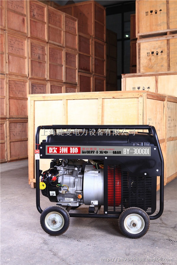 B-250GDI永磁250A汽油发电电焊机