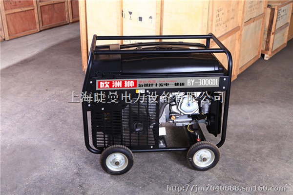 B-190GDI汽油190A发电电焊机