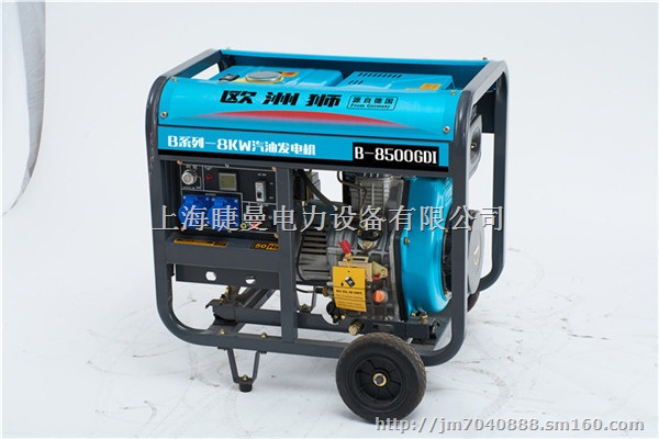欧洲狮汽油发电机B-6500GDI