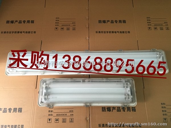 LED隔爆型双管荧光灯BYD52 2x18W