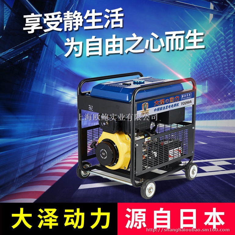 250A无刷永磁发电电焊机