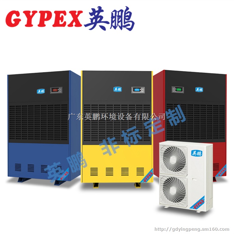 英鹏调温除湿机，南宁英鹏调温除湿机YPTW-20S