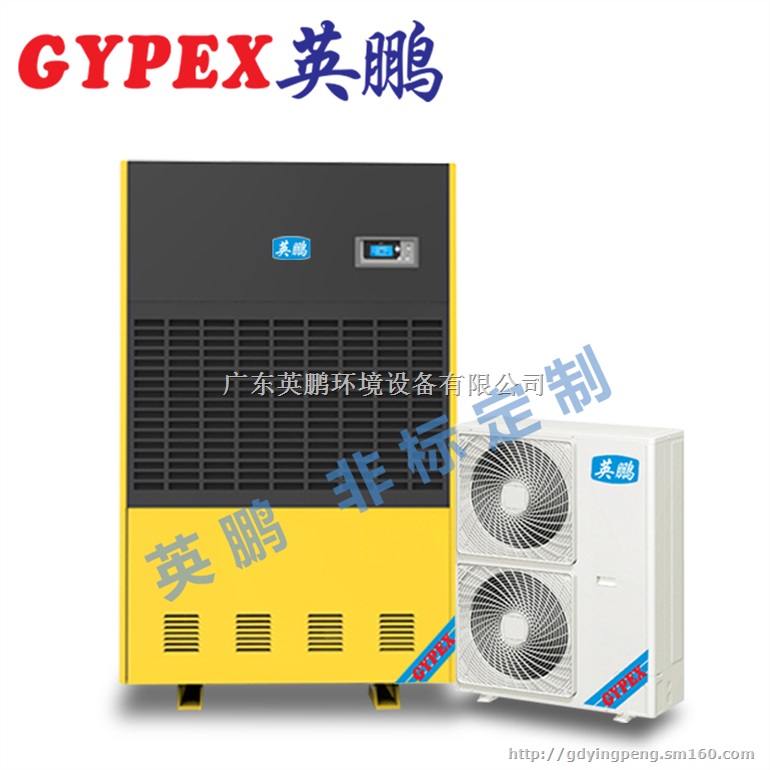 英鹏调温除湿机，南宁英鹏调温除湿机YPTW-20S