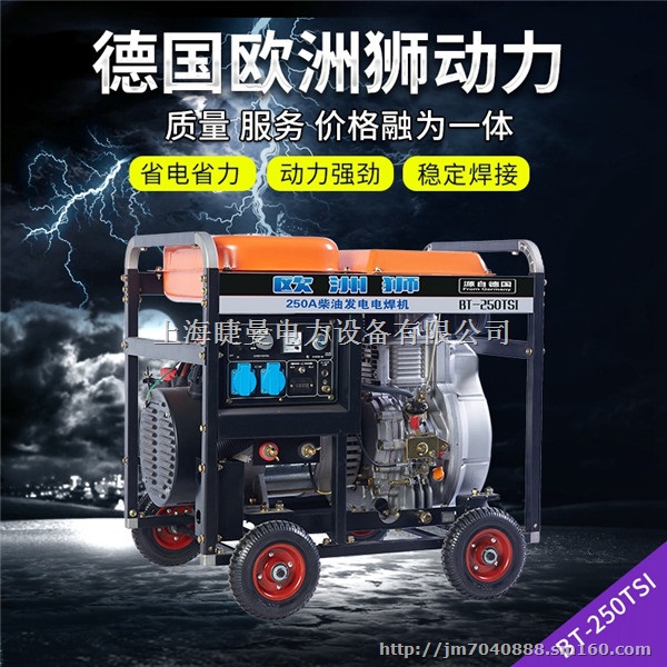 190A便携发电电焊机BT-190TSI