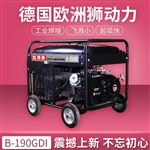 野外190A发电焊两用机