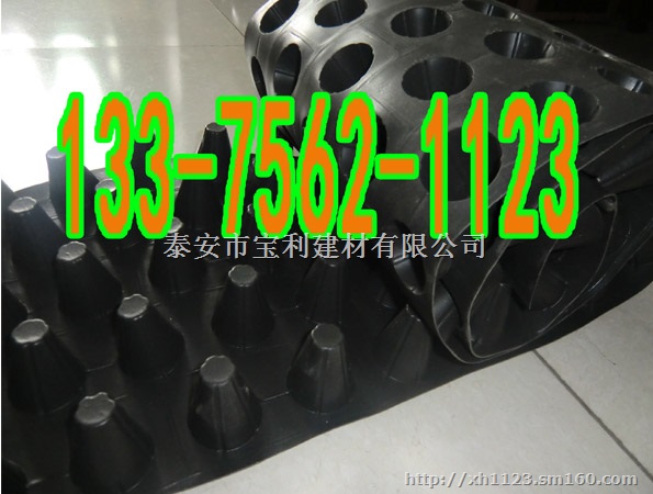 常熟市塑料排水板H20厚蓄排水板销售