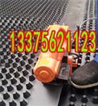 天津屋面楼顶种植绿化塑料排水板销售