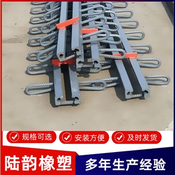 单组式桥梁伸缩缝_陆韵_伸缩缝_配件尺寸