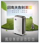 川泰豪华型家用除湿机CT161ED黑色款