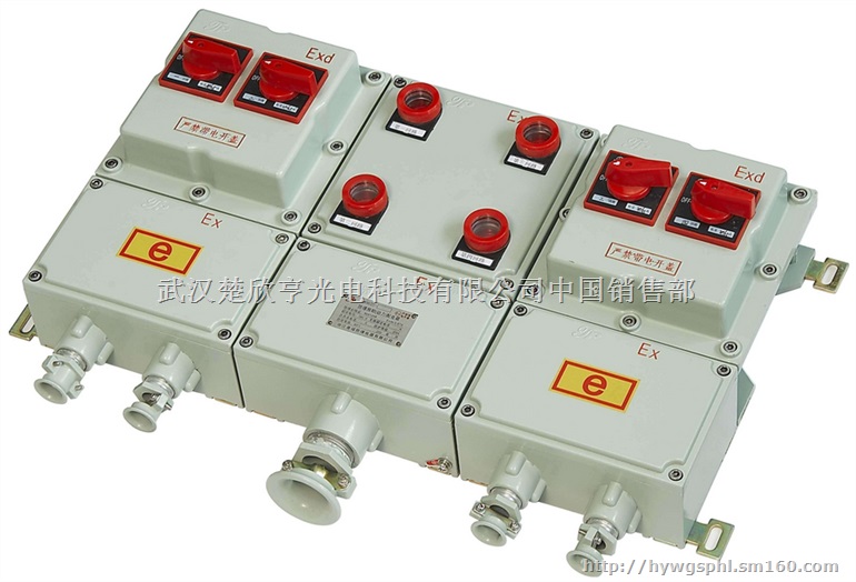 防爆动力控制箱 防爆动力配电箱 防爆照明（动力）箱
