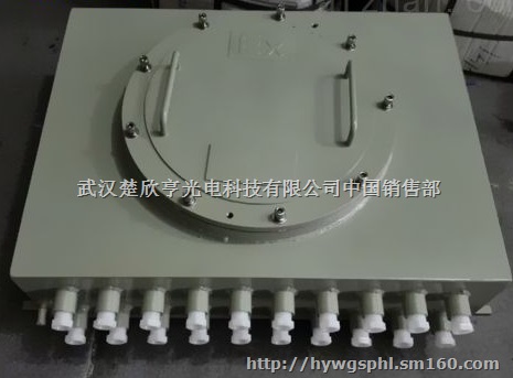 铝合金防爆接线箱 不锈钢防爆接线箱 本安型防爆接线