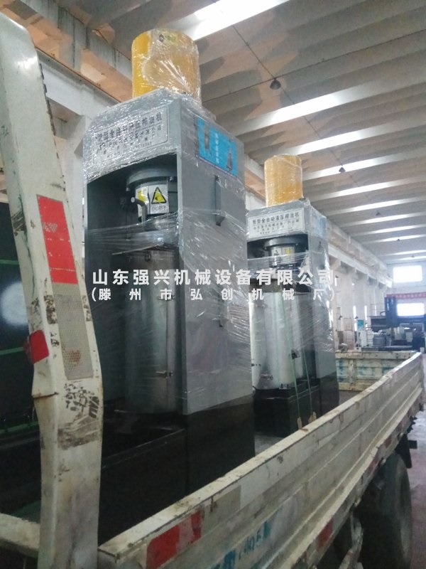南瓜子立式全自动液压榨油机,元宝枫低温冷榨榨油机