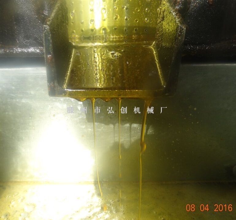 红花籽新型多功能榨油机多少钱,印楝籽全自动榨油机