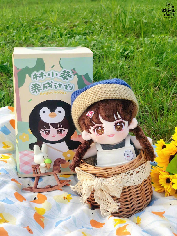 宁波知识产权认证，GB/T29490知识产权