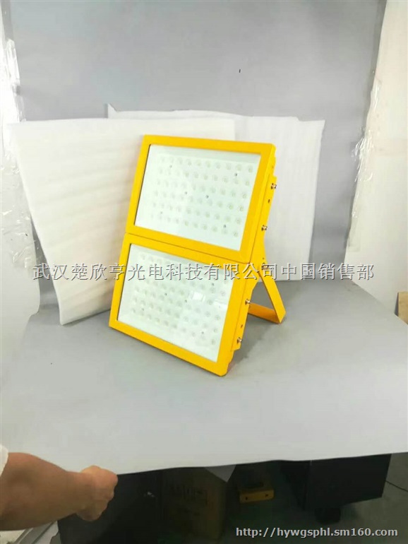 100W200W300WLED防爆投光灯 400W