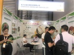 马来西亚东革阿里提取物天然宽缨酮