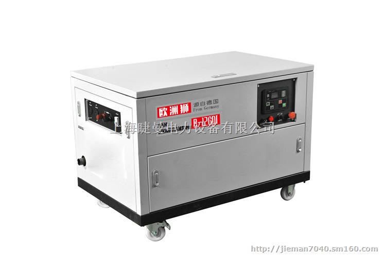 宣传车备用12千瓦汽油发电机油耗