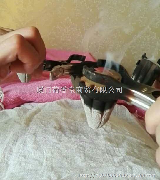 中药香灸荷香堂心脾气血小灸莲香2号香灸