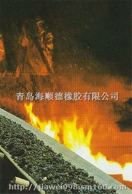 四川电厂阻燃输送带报价