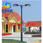 定制高杆柱灯系列双头欧式景观灯户外照明庭院灯