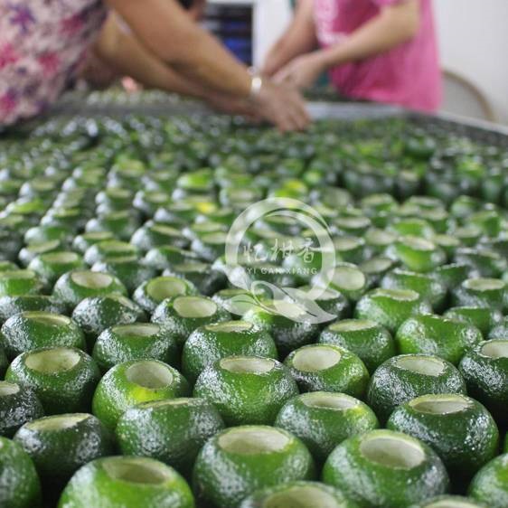 8月新会小青柑制作,柑香油满正当时