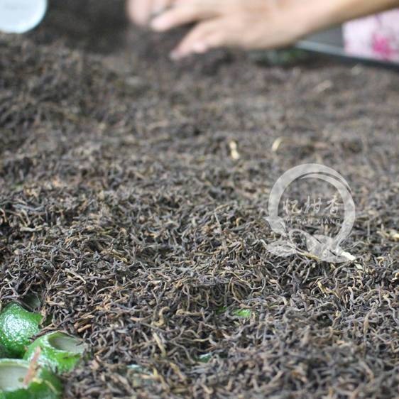 8月新会小青柑制作,柑香油满正当时