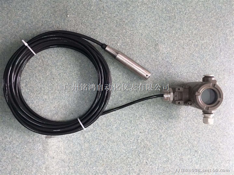分体投入式液位变送器/传感器