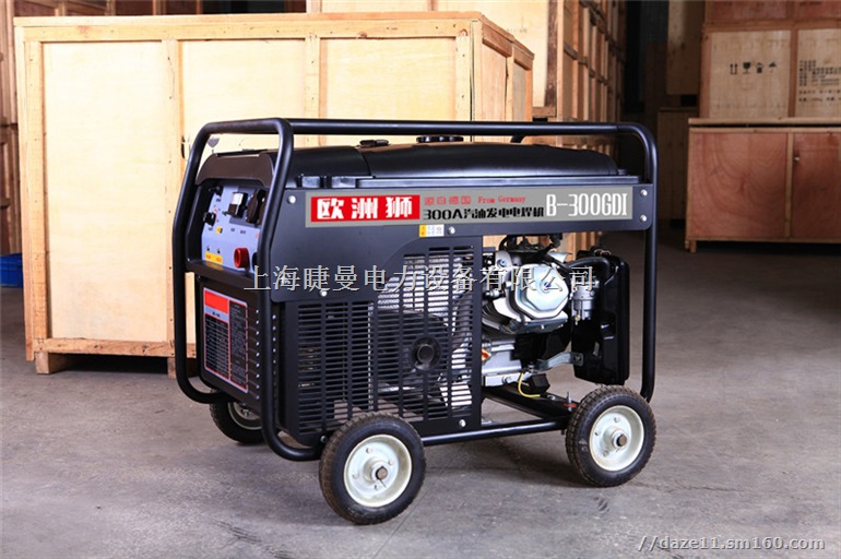 BT-300TSI双拼驱动欧洲狮汽油焊机