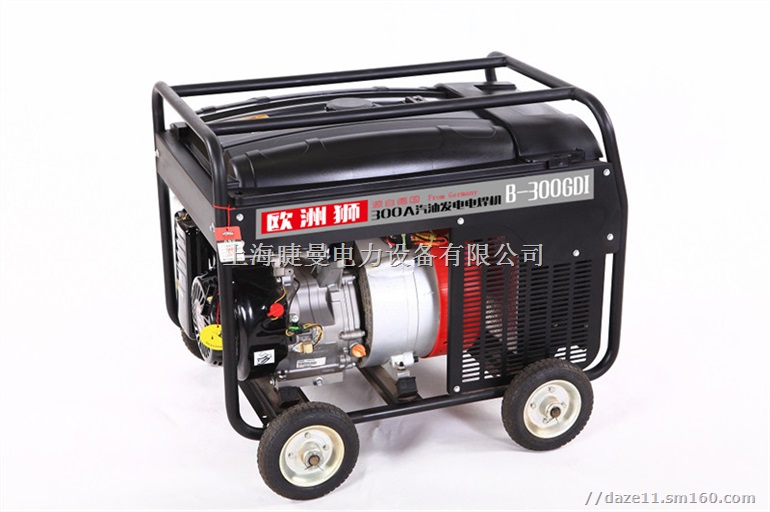 欧洲狮300A发电电焊机