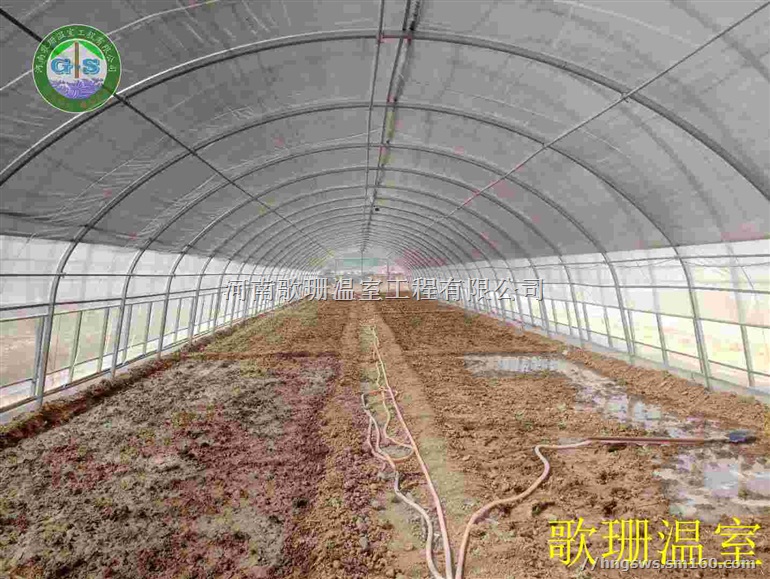 歌珊温室蔬菜大棚怎样预防病虫的侵害