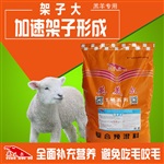 羔羊是怎么育肥、饲料咋个配，圈养还是放养好