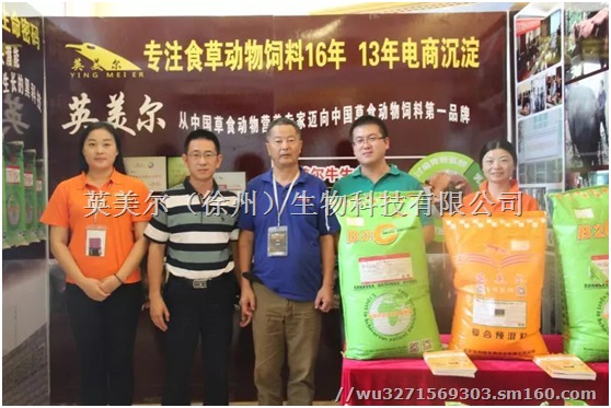 怎样育肥牛，育肥牛吃什么饲料长的快，一头肉牛一天吃