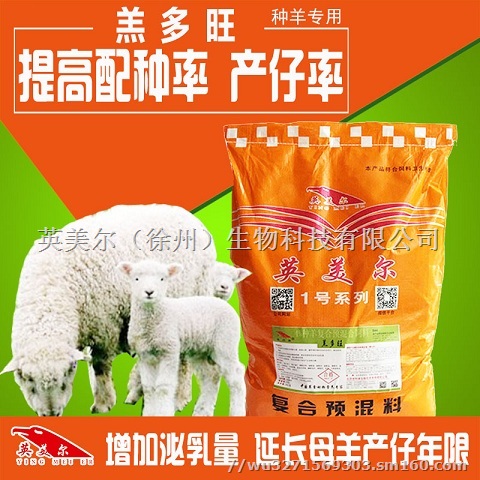 羊吃什么，羊吃什么长得快，肉羊快速育肥，育肥羊怎么