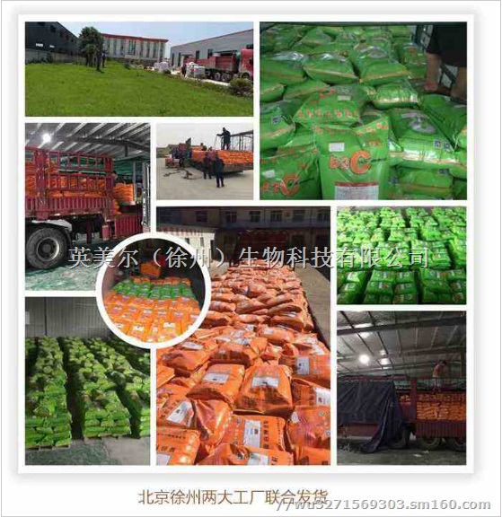 羊吃什么，羊吃什么长得快，肉羊快速育肥，育肥羊怎么