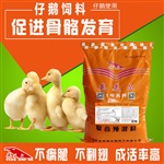 鹅吃什么长的快，种鹅养殖技术，鹅育肥期饲料配方