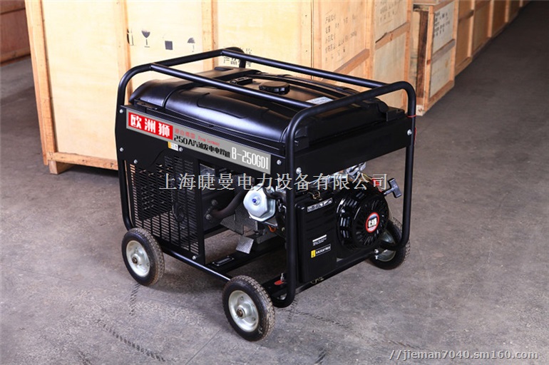 汽油机发电机带250A电焊机