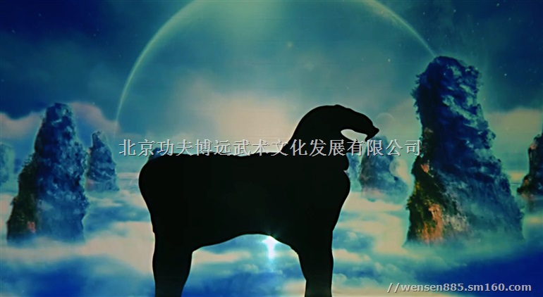 提供 影子舞制作 编排服务 影子舞表演 影子舞教学